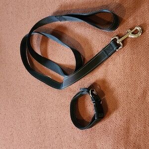 Matching collar & leash